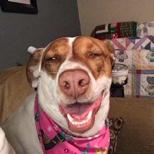 Meet your Posher, Chrissy